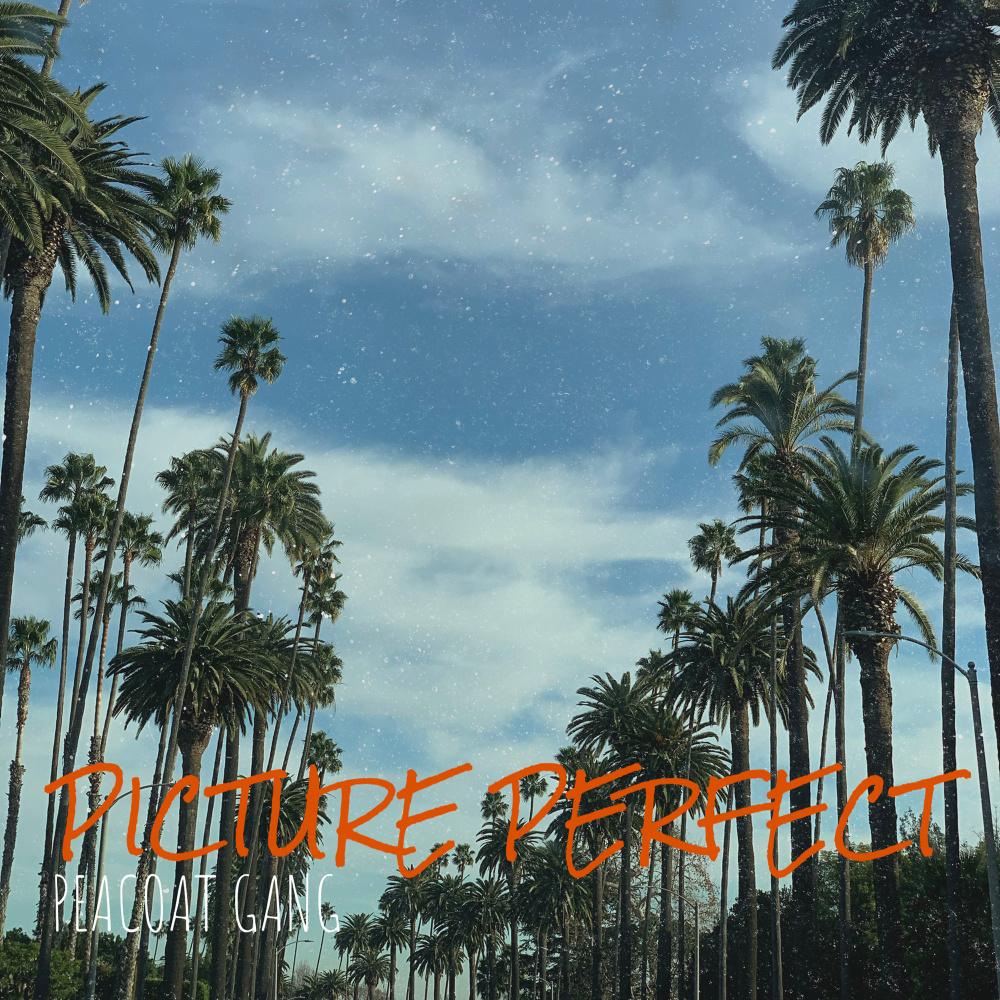 Picture Perfect (Explicit)