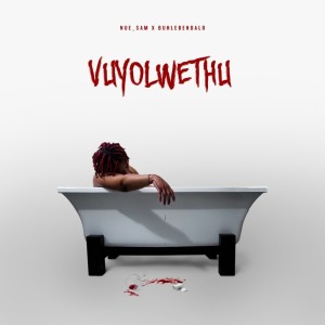 Listen to Vuyolwethu song with lyrics from Nue_Sam