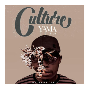 Listen to Lalela song with lyrics from DJ Sphecific