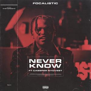 Dengarkan Never Know lagu dari Focalistic dengan lirik