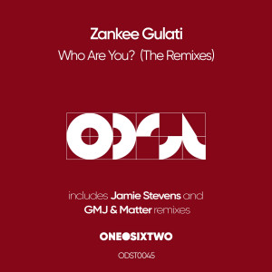 Listen to Who Are You (GMJ & Matter Remix) song with lyrics from Zankee Gulati