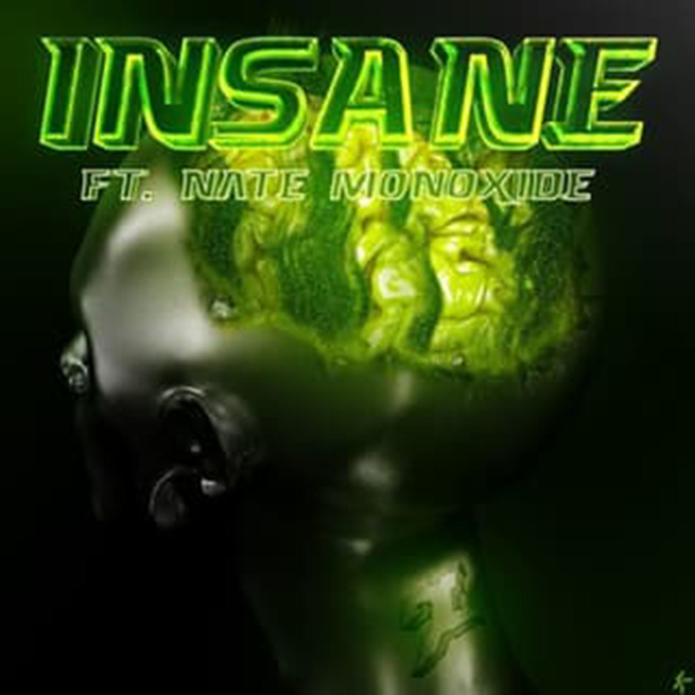Insane(feat. Nate Monoxide)