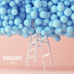 Album 亲爱的你别走 from 于玄子