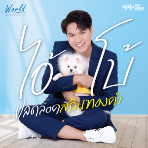 Dengarkan lagu ไอ้โบ้ ปลดล็อคสกินทองคำ nyanyian WORLD SORRAWID dengan lirik