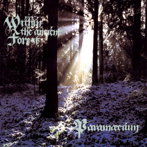 Listen to Song of the Ancient song with lyrics from Paramaecium