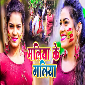 Listen to Maliya Ke Galiya song with lyrics from Vipin Bihari