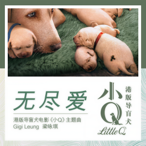 收聽梁詠琪的無盡愛歌詞歌曲