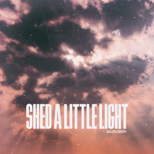 Wildflowers的專輯Shed a Little Light