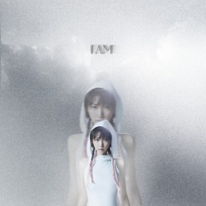 Dengarkan lagu I AM (完整版) nyanyian 洪辰 dengan lirik