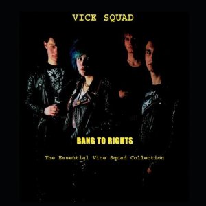 ดาวน์โหลดและฟังเพลง Stand Strong Stand Proud พร้อมเนื้อเพลงจาก Vice Squad