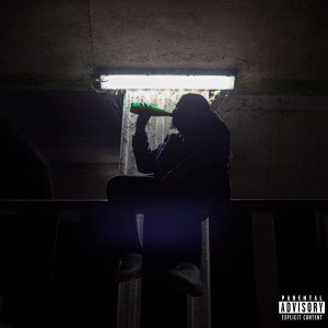 Album La Vie qu'on mène (Explicit) from Nobzy