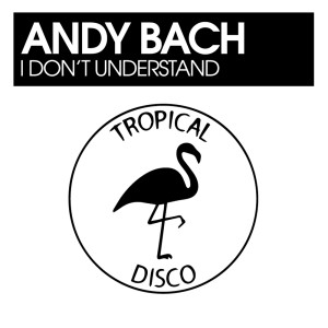 Album I Don't Understand from Andy Bach