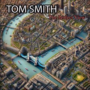 อัลบัม The Perfect View ศิลปิน Tom Smith