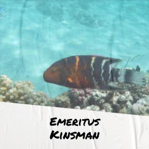 Album Emeritus Kinsman from Various