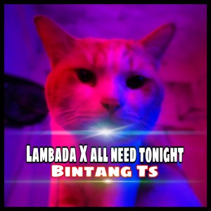 Listen to Lambada X All Need Tonight song with lyrics from bintang ts