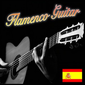 ดาวน์โหลดและฟังเพลง Sevillianas Toreras พร้อมเนื้อเพลงจาก Latin Guitar Heroes