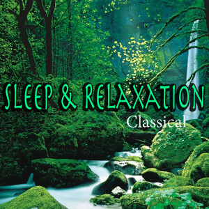 Listen to Symphony No. 1 in D Major: II song with lyrics from The St Petra Russian Symphony Orchestra