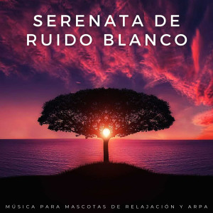 Modo Bajo de Ruido Blanco的專輯Serenata De Ruido Blanco: Música Para Mascotas De Relajación Y Arpa