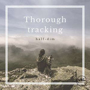 收听half-dim的Thorough tracking歌词歌曲
