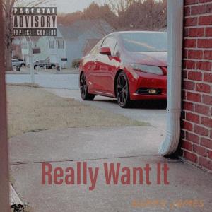 Really Want It (Explicit)