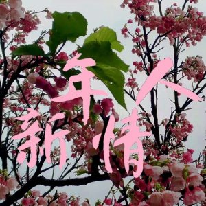Listen to Eternal Love song with lyrics from 王凯平