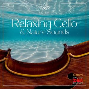 Listen to La Paloma (Cello Transcription) (Nature Sounds Version) song with lyrics from Cello Music DEA Channel