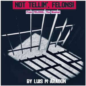 收聽BJ Robinson的NOT TELLIN', FELONS!歌詞歌曲