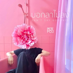 收聽Pete Pol的บอกลาไม่ลง歌詞歌曲