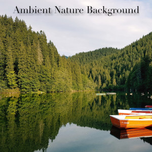 ดาวน์โหลดและฟังเพลง De-stress Nature Ambience พร้อมเนื้อเพลงจาก Nature Sounds