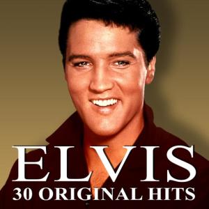 ดาวน์โหลดและฟังเพลง Don’t Leave Me Now พร้อมเนื้อเพลงจาก Elvis Presley