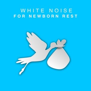 收聽White Noise Baby的White Noise: Slowly (其他)歌詞歌曲
