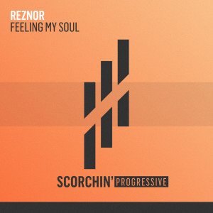 Reznor的专辑Feeling My Soul