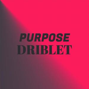 Various Artists的專輯Purpose Driblet