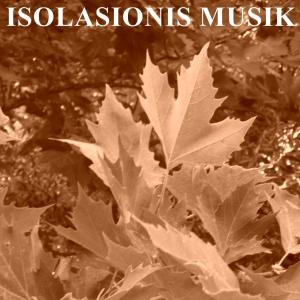 收聽Roberto Panduan的Isolasionis Musik歌詞歌曲