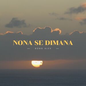 Album Nona Se Dimana (Remix) from BONG ALEX