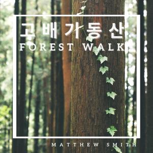 Album 고배기동산 · forest walk from Matthew Smith