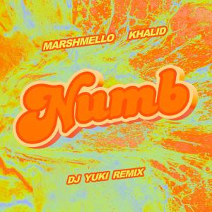 ดาวน์โหลดและฟังเพลง Numb (DJ YUKI Remix) พร้อมเนื้อเพลงจาก Marshmello