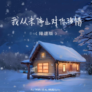 Album 我从未停止对你珍惜 (降速版) from 