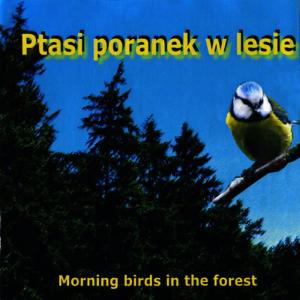 收聽Singing Birds of Poland的Chaffinch, wood warbler, blue tit, great tit and ringdove歌詞歌曲