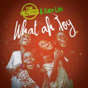 What ah Joy (feat. Exco Levi)