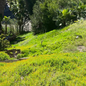 收聽MENESES的Loop 6歌詞歌曲