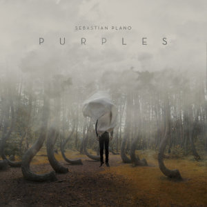 收聽Sebastian Plano的Purples歌詞歌曲
