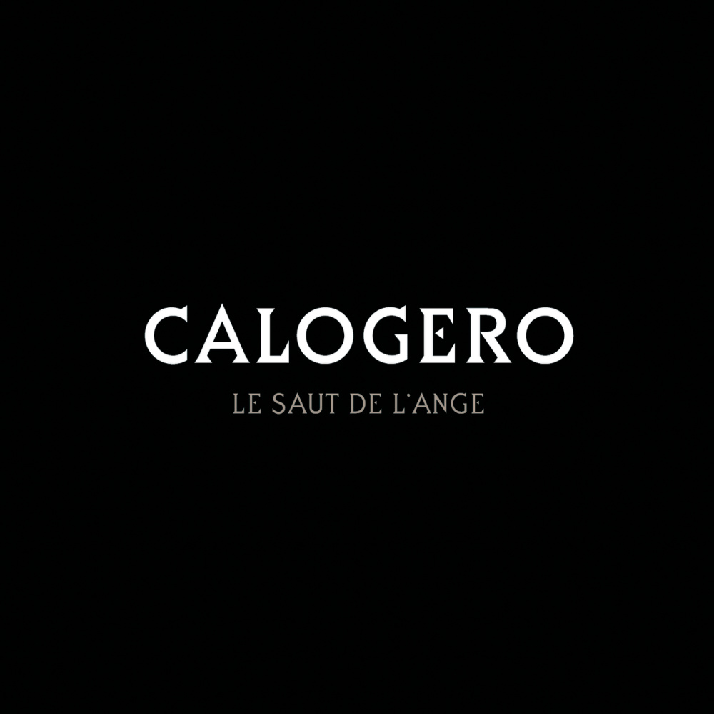 Le Saut De L'Ange (Radio Edit)