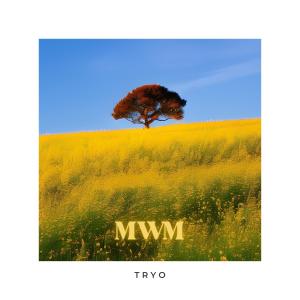 Listen to DREAMS song with lyrics from mwm