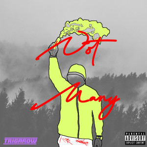 Trigarow的专辑Not Many (Explicit)