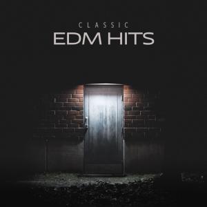 ดาวน์โหลดและฟังเพลง The Woods พร้อมเนื้อเพลงจาก JJD