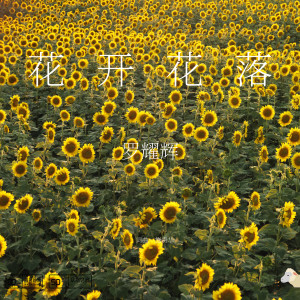 收聽羅耀輝的花開花落 (伴奏)歌詞歌曲