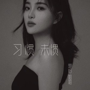 收聽楚怡姐姐的習慣未慣DJ版 (伴奏)歌詞歌曲