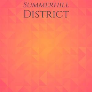 Various Artists的專輯Summerhill District