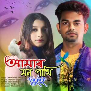 Listen to Amar Mon Pakhi Toi song with lyrics from Mainul Haque